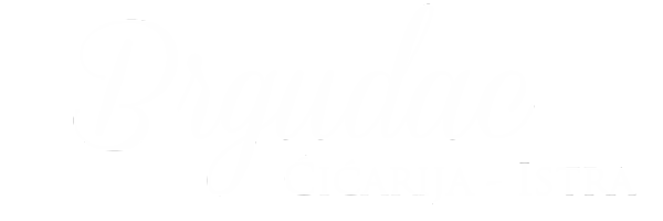 logo-brgudac-bijeli-m